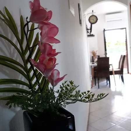 Haus Cataleya Апартаменты *