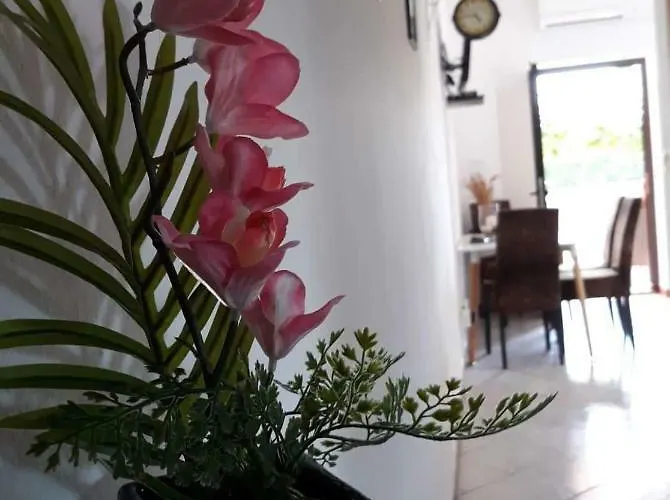 Haus Cataleya 아파트 *